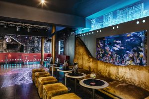 peces carpa koi japonesa en acuario diseño de lujo pecera agua fria interiorismo local comercial